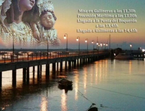 Confirmada la participación de nuestra Agrupación Musical, para el próximo 16 de Julio, acompañando a la Virgen del Carmen de Gallineras.